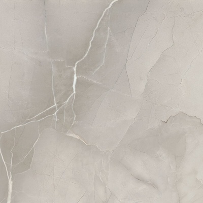 Azteca PASSION LUX 60 Grey 60 x 60 cm 1,08m²