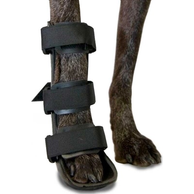 Walkinpets Ortéza s pätou pre psa na predné nohy L