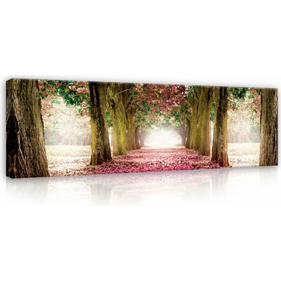 Consalnet Obraz na plátně: Rozkvetlá alej (4) - 145x45 cm