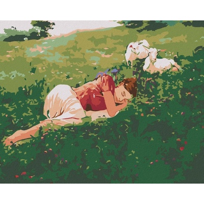 zuty Malování podle čísel Spící žena v trávě a kůzlata 50 x 40 cm vypnuté plátno na rám