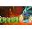 Race.a.bit