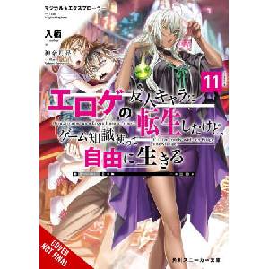 Magical Explorer, Vol. 11 (Light Novel) | David Musto (ISBN: 9798855421941)