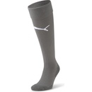 Puma Team LIGA socks CORE
