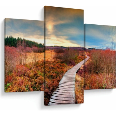 Obraz - Podzimní cesta krajinou, třídílný 90x60 cm – Hledejceny.cz
