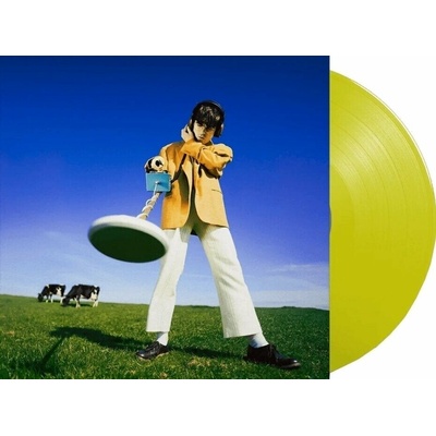 Declan McKenna - What Happened To The Beach? (Yellow Coloured) LP