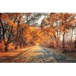 DIMEX ART Флизелинов фототапет пътека по есенната алея 375 x 250 см