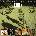 Korn - Original Album Classics (5 CD) (888430660724)
