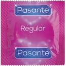 Pasante Regular 72 ks
