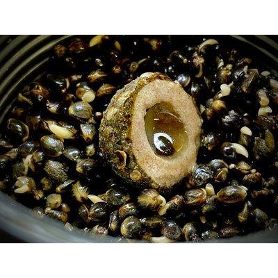 LK Baits Nutrigo Balanc Monster Crab 200ml 20mm