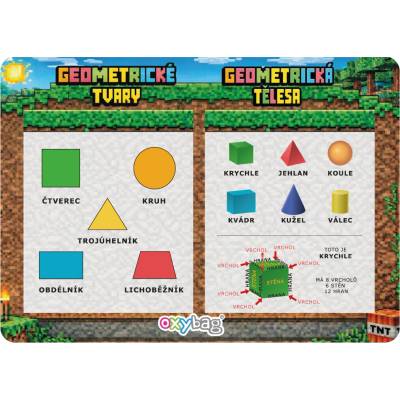 Vzdělávací karta A4 Geometrické tvary, playworld