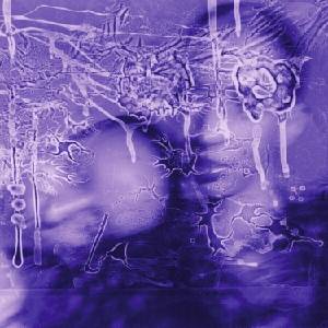 Sirens Of Lesbos - I Got A Song, It’s Gonna Make Us Millions (LP) (7649994324025)