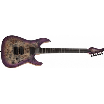 Schecter C6 PRO