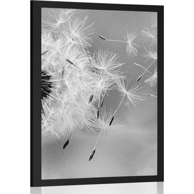 Plakát kouzelná pampeliška v černobílém provedení - 40x60 white