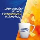Theraflu Forte 1000 mg/200 mg/12,2 mg prášok na perorálny roztok plo.por.10
