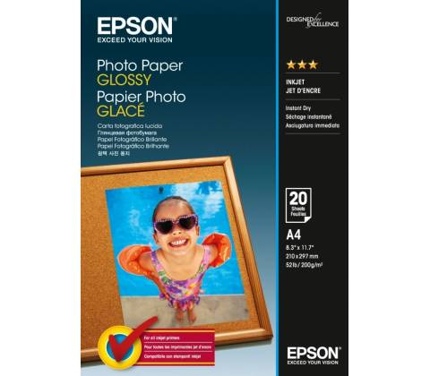 Epson C13S042538