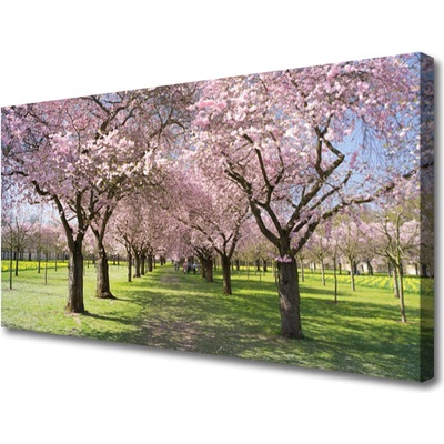 Obraz na plátne Chodník stromy príroda 100x50 cm