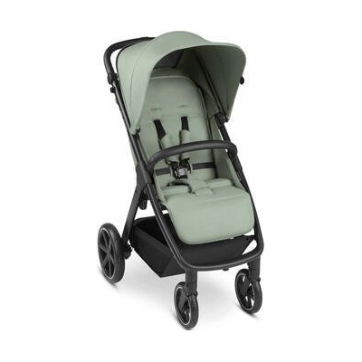 ABC DESIGN Avus pine 2024