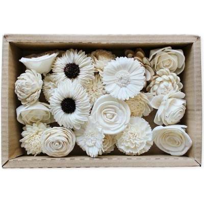 Sola květy mix box 24ks/6,5cm krém