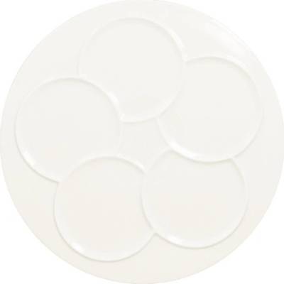 RAK Porcelain Talíř kulatý 5 zón 30 cm RAK-CRRP5Z