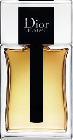 Dior Dior Homme EDT 100 ml Tester