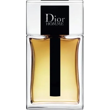 Dior Dior Homme EDT 100 ml Tester