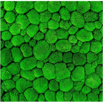 Gardners Mechový panel 50x50 cm z kopečkového mechu