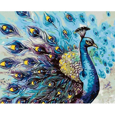 zuty Malování podle čísel Pyšný páv 50 x 40 cm vypnuté plátno na rám