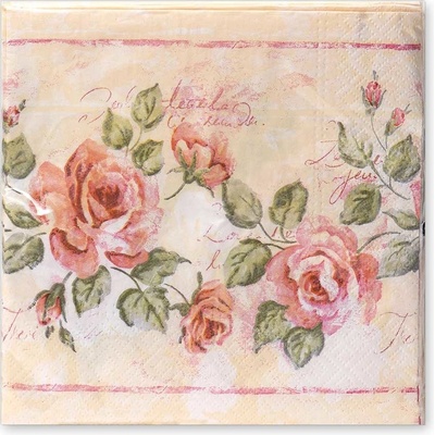Argus Papírové ubrousky 33x33 cm 20ks 19035004