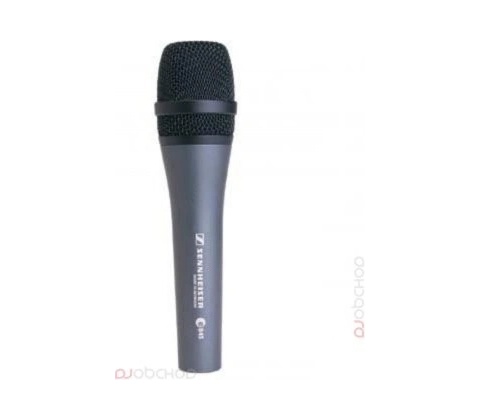 Sennheiser E845