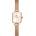 Daniel Wellington DW00100651