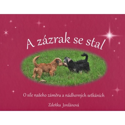 A zázrak se stal: O síle našeho záměru a nádherných setkáních - Zdeňka Jordánová