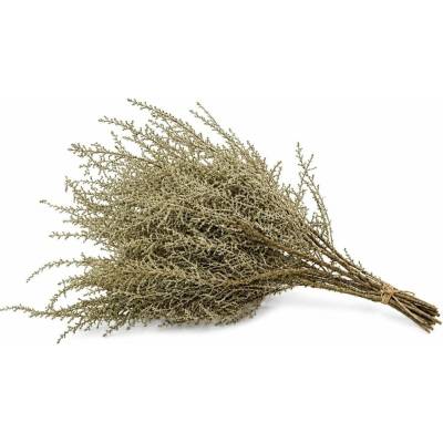 STOEBE SLEEVE ( 150 g )