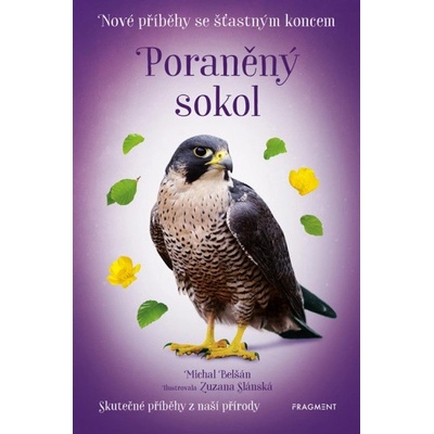 Poraněný sokol
