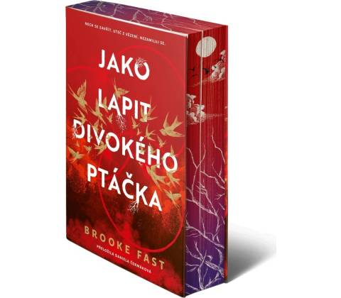 Jako lapit divokého ptáčka