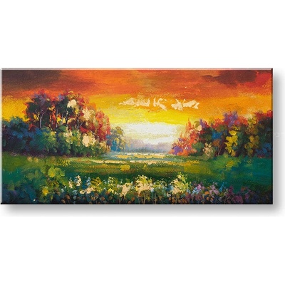 Maľovaný obraz na stenu LÚKA 100x50 cm - 100×50 cm / Klasický 2 cm