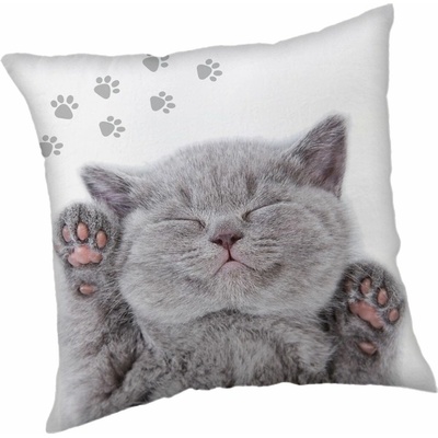 Jerry Fabrics Vankúšové mačiatko 40x40