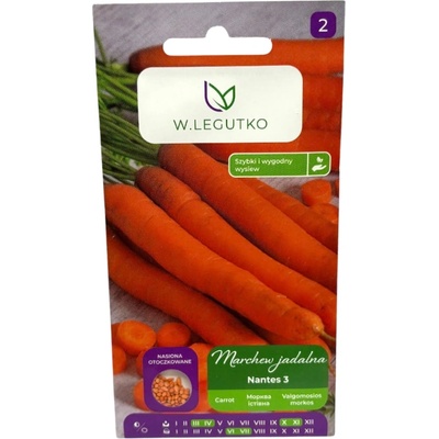 W. Legutko Моркови от Нант 3
