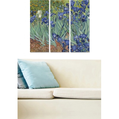 ASIR Obraz na MDF 3ks MODRÉ KOSATCE 20 x 50 cm