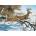Cobble Hill - Puzzle Breaking Cover - 1 000 piese