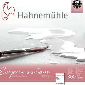 Hahnemühle Expression akvarelový blok 100 % bavlna 300 GR M2 lisovaný za sudena 20 listov 30 X 40 CM