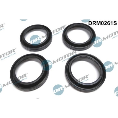 Tesneni, drzak trysky Dr.Motor Automotive DRM0261S
