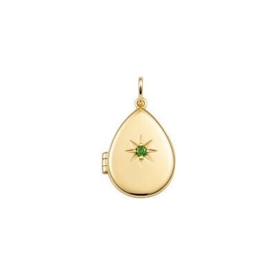 Basics Strieborný medailón s hviezdičkou Gold plated P5648G