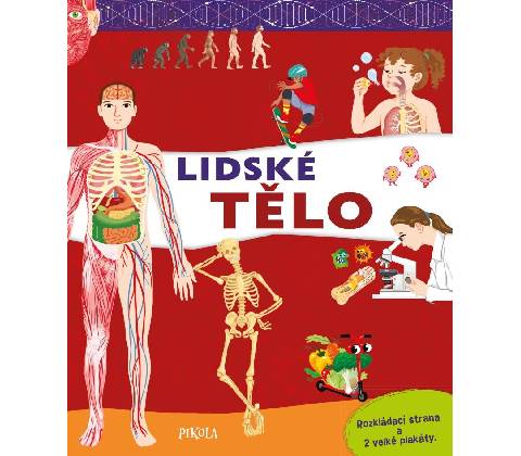 Lidské tělo