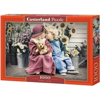 Castorland První láska 1000 dílků