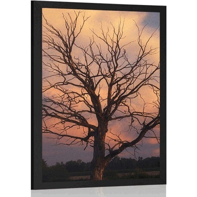 Plakát nádherný strom na louce - 40x60 no frame