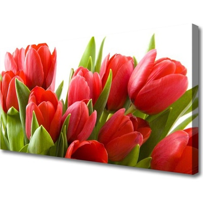 Obraz na plátne Tulipány kvety rastlina 100x50 cm