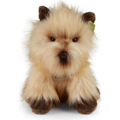 Eco-Friendly Rappa pes cairnteriér 30 cm