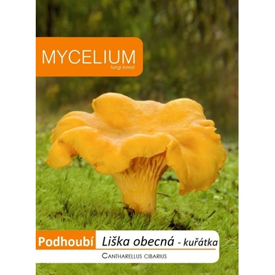 Liška obecná kuřátka 10 g podhoubí