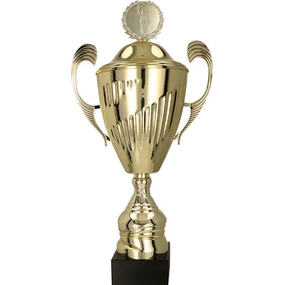 Kovový pohár s poklicí Zlatý 26 cm 10 cm