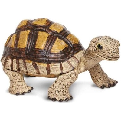 Safari Ltd Safari® Сухоземна костенурка